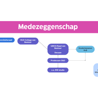 Medezeggenschaps_organogram__geheel_overzicht.png
