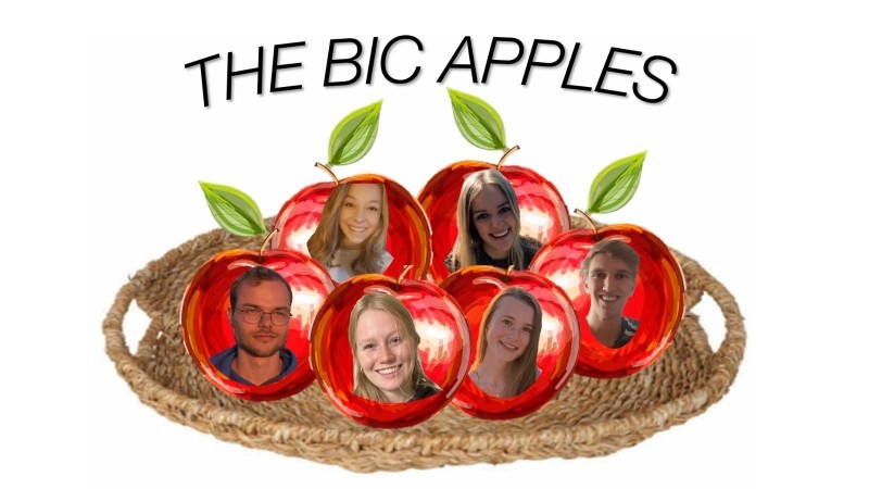 BIC.jpeg